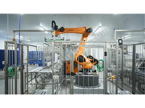 Palletizing Machine with Robot Arm