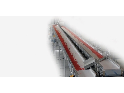 Gıda Paketleme Besleme Ring Hattı - 1