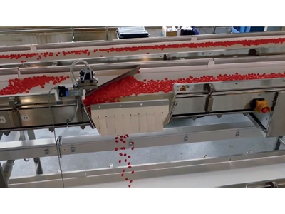 Food Packaging Feeding Ring Line - 0