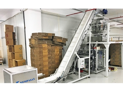 Special Design Machine Packaging Feeding System - 3