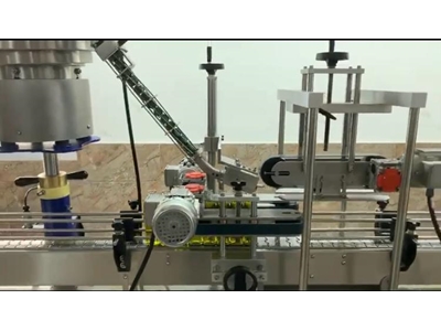 Automatic Cap Feeding and Capping Machine - 1