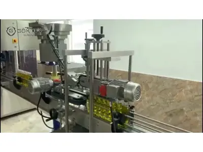 Automatic Feeding Liquid Filling Machine