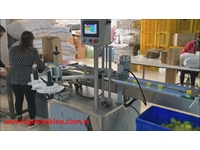 10-160 mm Ürüne Özel Etiket Yapıştırma Makinası - 2