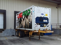 500 - 600 Kg / Day Fresh Feed Production Container - 2