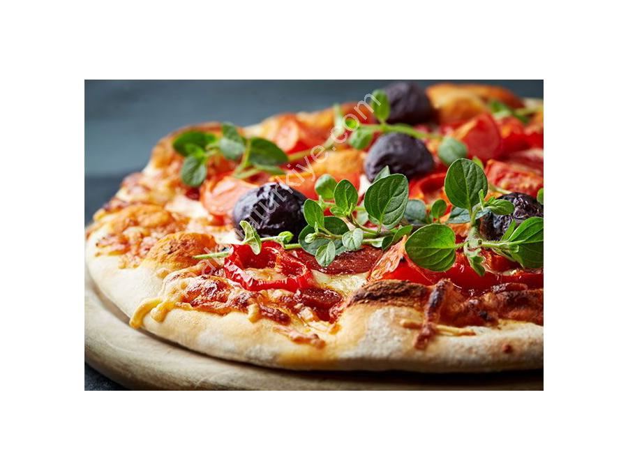  Gazlı Sabit Tabanlı Pizza Fırını