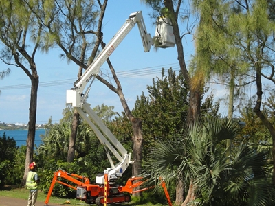 21.20 M (200 Kg) Spider Articulated Platform - 7