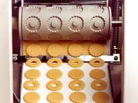 2 - 5 kg/min Roller Biscuit Shaping Machine - 5