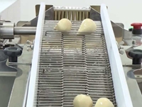 Machine de tartinage et mélange de tahini et mélasse de 300 kg / heure - 1
