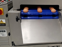 Machine de lavage des œufs en tunnel 3200 unités - 4