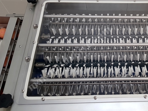 9600 Stück / Stunde Eierwaschmaschine mit Förderband