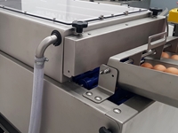 Machine à laver les œufs à convoyeur de 9600 unités/heure - 4