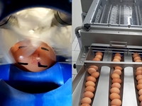 Машина для стирки яиц с ленточным транспортером на 9600 штук в час - 2