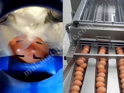 Машина для стирки яиц с ленточным транспортером на 9600 штук в час