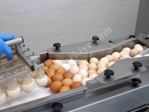 9600 Adet / Saat Yumurta Kırma Ayırma Makinesi