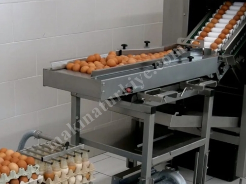 9600 Adet / Saat Yumurta Kırma Ayırma Makinesi