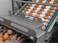 RX4 Egg Breaking Separating Machine - 7