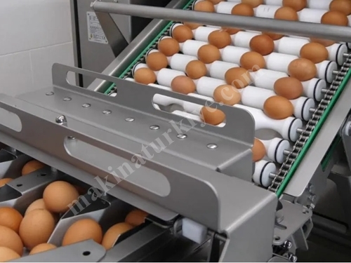 RX4 Egg Breaking Separating Machine
