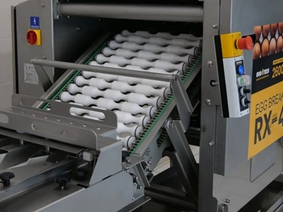 RX4 Egg Breaking Separating Machine - 1