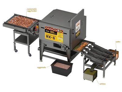 Machine de cassure et de séparation d'œufs de 25 600 pièces par heure - 0