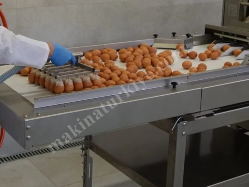 Машина для разделения яиц на 25600 штук в час