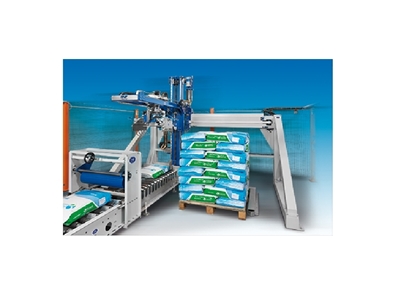 Automatic Cartesian Palletizing Machine - 0