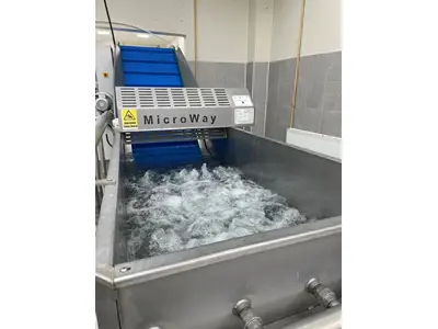 1000-1500 Kg/Hour Fruit Vegetable Washing Machine