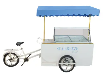 Dondurma Arabası Model 2