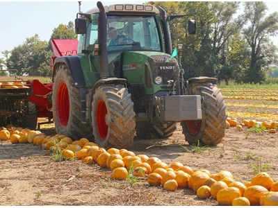  Kabak Makinası - 11