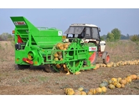 600 kg Automatische Kürbis Melonen Erntemaschine - 4