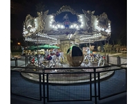 Rentable Merry-Go-Round for 3-6-12-24 People - 4