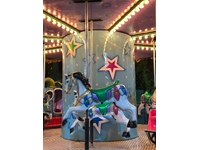 Rentable Merry-Go-Round for 3-6-12-24 People - 8