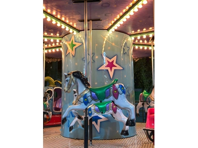 Rentable Merry-Go-Round for 3-6-12-24 People - 8