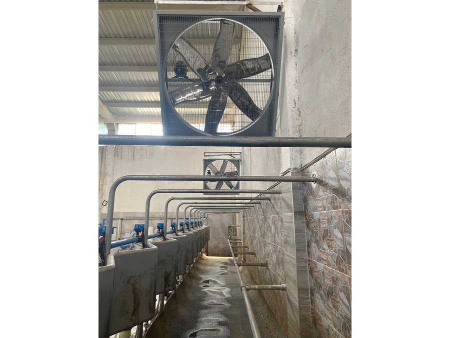 0.75 - 1.5 kW Redüktörlü Hayvan Serinletme Fanı
