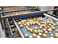Kartoffel Zwiebel Verpackungs- und Etikettiermaschine