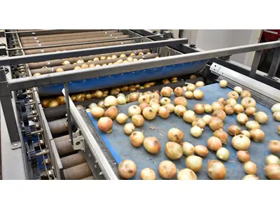 Kartoffel Zwiebel Verpackungs- und Etikettiermaschine