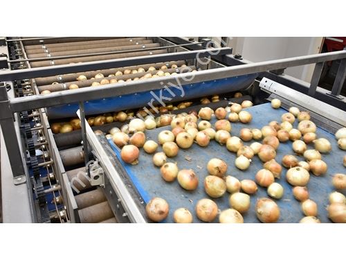 Patates Soğan Paketleme Ve Boylama Makinası