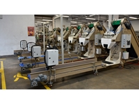 Potato Onion Packaging and Labeling Machine - 5