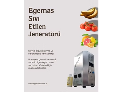 Sıvı Etilen Jeneratörü - 2