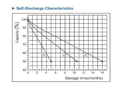 12 Volt / 80 Amp Dry Type Battery - 9