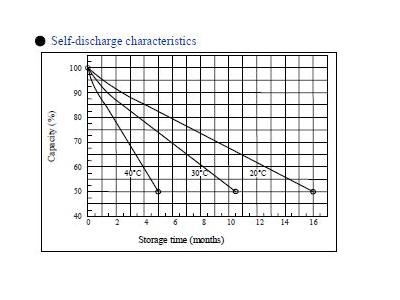 12 Volt / 100 Amp Dry Type Battery - 9