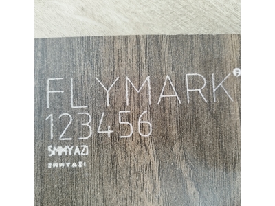 170x110 Mm Nokta Vuruşlu Markalama Makinası - 5