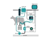 Çoklu Balıkkılçığı Süt Sağım Sistemi - 1