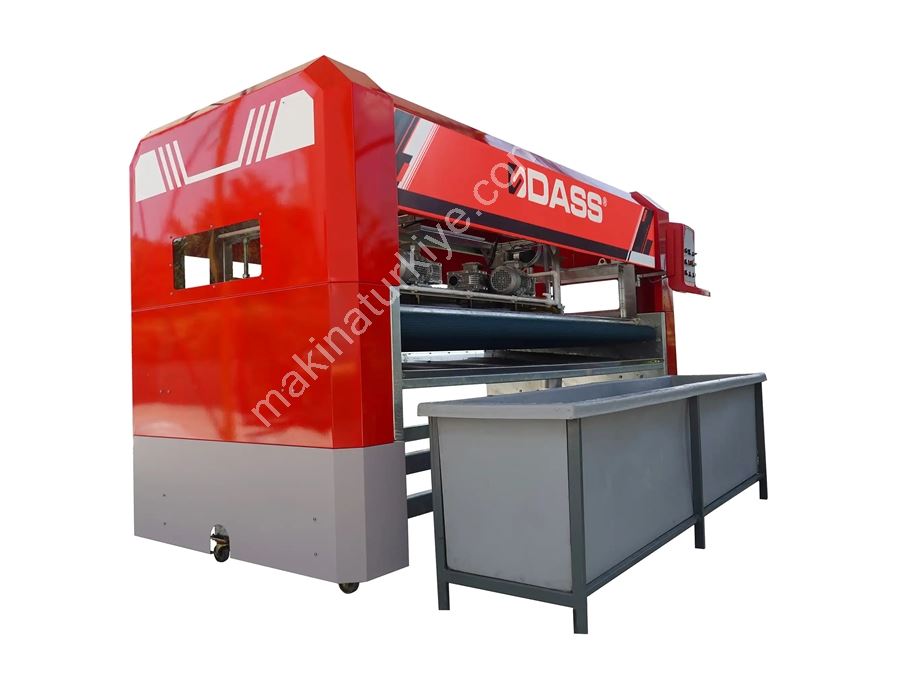 Otomatik Halı Yıkama Makinesi Dass Expert 4200B