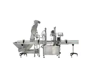 40-60 Bottles/Minute Rotary Large Cap Sealing Machine