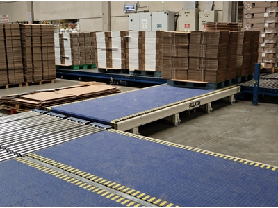 Skid Transfer Conveyor - 1