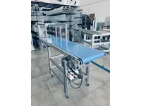 Plastic Injection Robot Conveyor