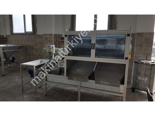 2500 Kg/Day Peeled Garlic Clove Calibration and Grading Machine