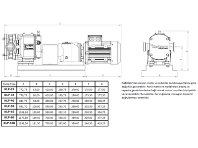 6 Bar (2.500 L/S) Lobe Pompa - 6