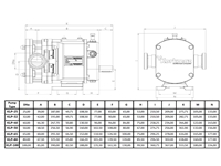 8 Bar (6.000 L/S) Lobe Pompa - 8