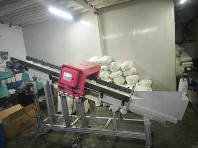 Conveyor with Metal Detector (1) - 2